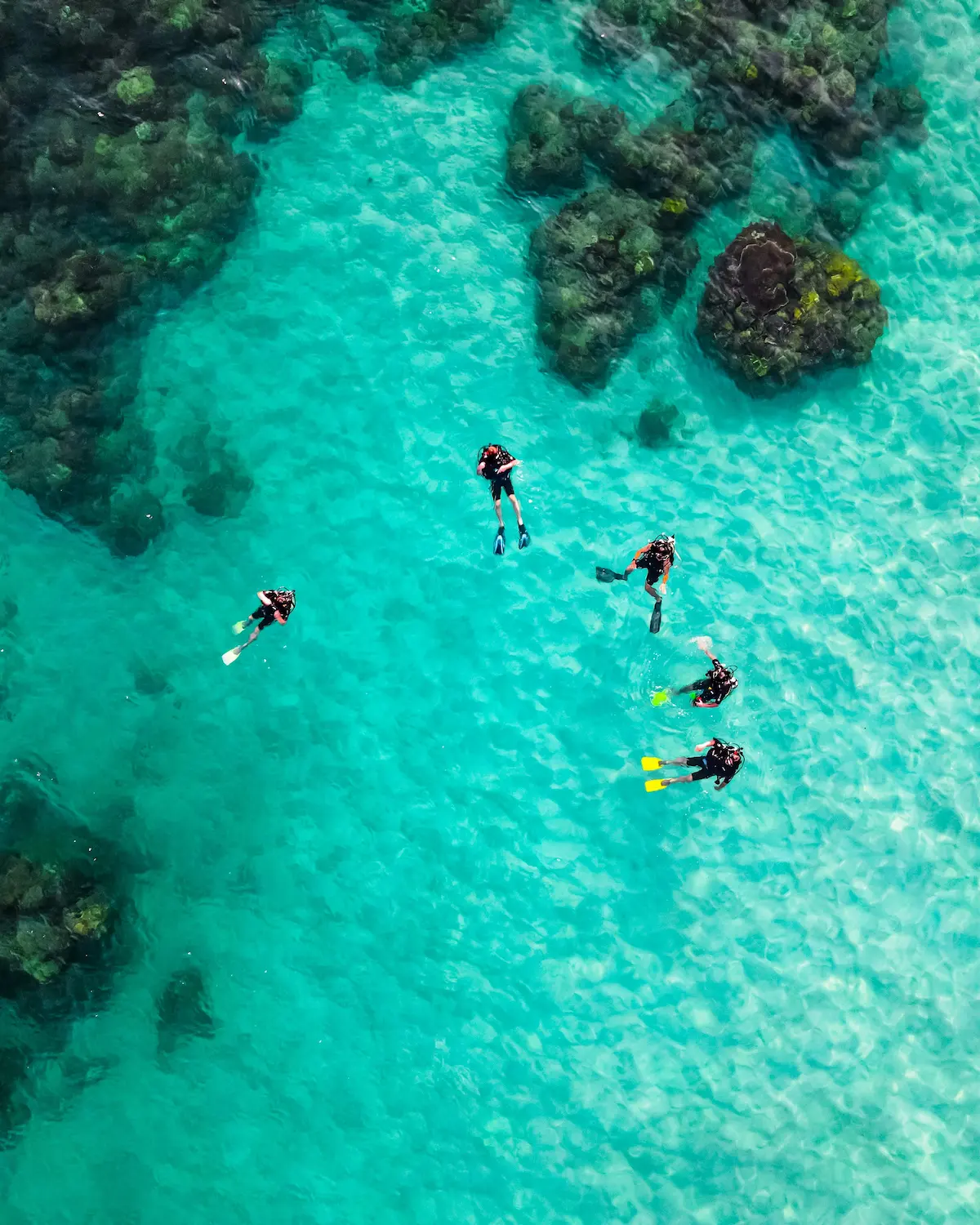 Sea and Diving